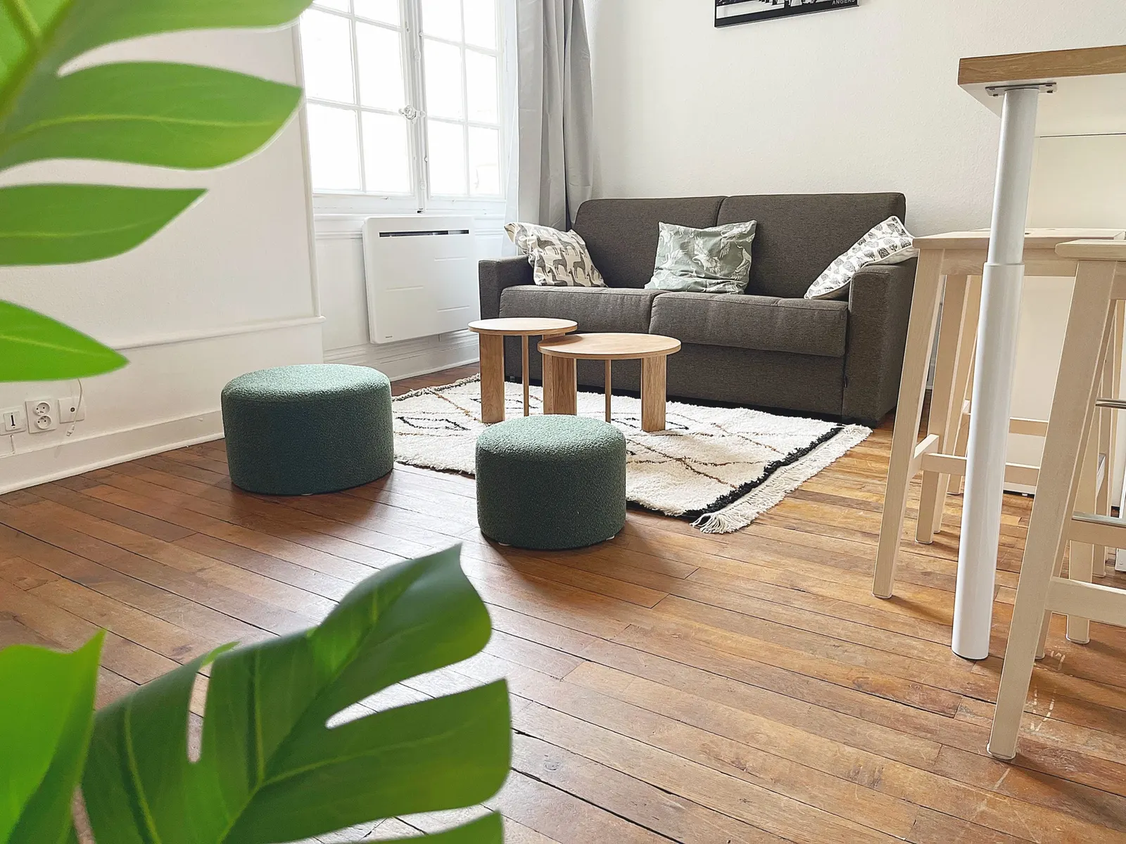 Sofa and coffee table in the living room